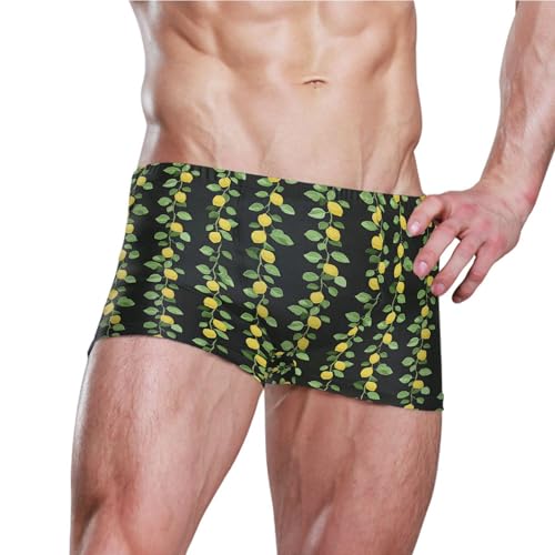 Lemon Fruit Summer Mens Swim Trunk Swimwear Bathing Suit Swim Brief Square Leg Board Short S B04036173