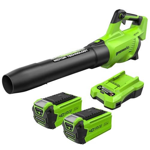 3 ANNI DI GARANZIA CON 2 ANNI DI GARANZIA PER LA BATTERIA - Da Greenworks, leader mondiale negli attrezzi elettrici e della tecnologia a batterie, con una reputazione globale per design intelligente, prestazioni elevate e un servizio clienti eccezionale