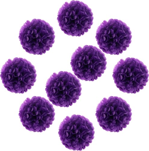 Lightingsky 10pcs DIY Decorative Tissue Paper Pom-poms Flowers Ball Perfect for Party Wedding Home Outdoor Decoration (10-inch Diameter, Dark Purple)