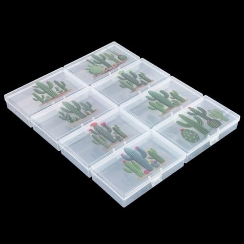 Image of Goodma 8 Pieces Cactus Image Pattern Rectangular Clear Plastic Boxes | Empty Storage Organizer Containers, Hinged Lids, For Small Items and Craft Projects, 5.3 x 3.1 x 1.2 inch
