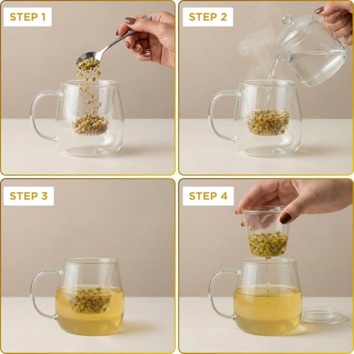 Image of Glass Tea Cup with Infuser & Lid | Heat Resistant, Thick Clear Borosilicate Glass Tea Infuser Mug for Loose Leaf Tea | Perfect for Corporate Gifting or Birthdays | 420ml