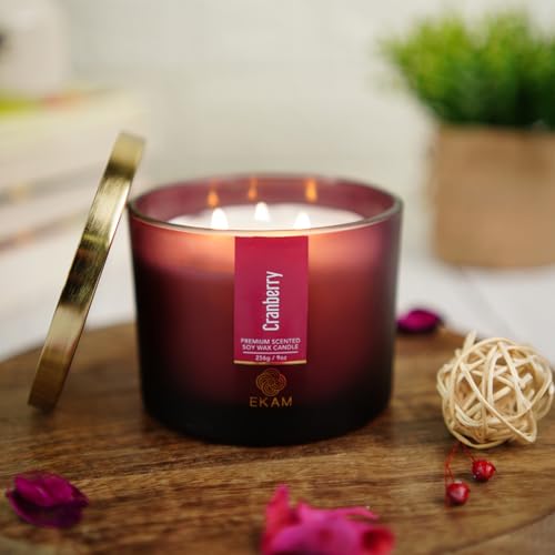 Image of EKAM 3 Wick Soy Wax Scented Candle | Cranberry Fragrance | 35 Hr Burn | Long Lasting Premium Jar Candle for Home Decor, Relaxation & Gifting