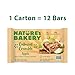 Nature's Bakery Oatmeal Crumble Bars, Apple, Real Fruit, Vegan, Non-GMO, Breakfast Bar, 1 Box With 12 Twin Packs (12 Twin Packs)