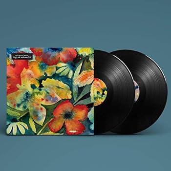 洋楽 ADRIANNE LENKER - SONGSANDINSTRUMENTALS songs and instrumentals [Disco de Vinil]: Amazon.com.br: CD