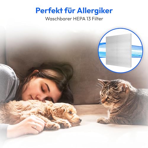 MEDION E2001 Beutelloser Zyklon-Staubsauger