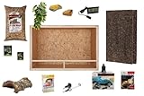holzterrarium 120 x 60 160W D3 (luvf160-2/luvrz160) -> für Glasterrarium (ebenso im Set ohne Terrarium)Reptile UVA/UVB Lampe