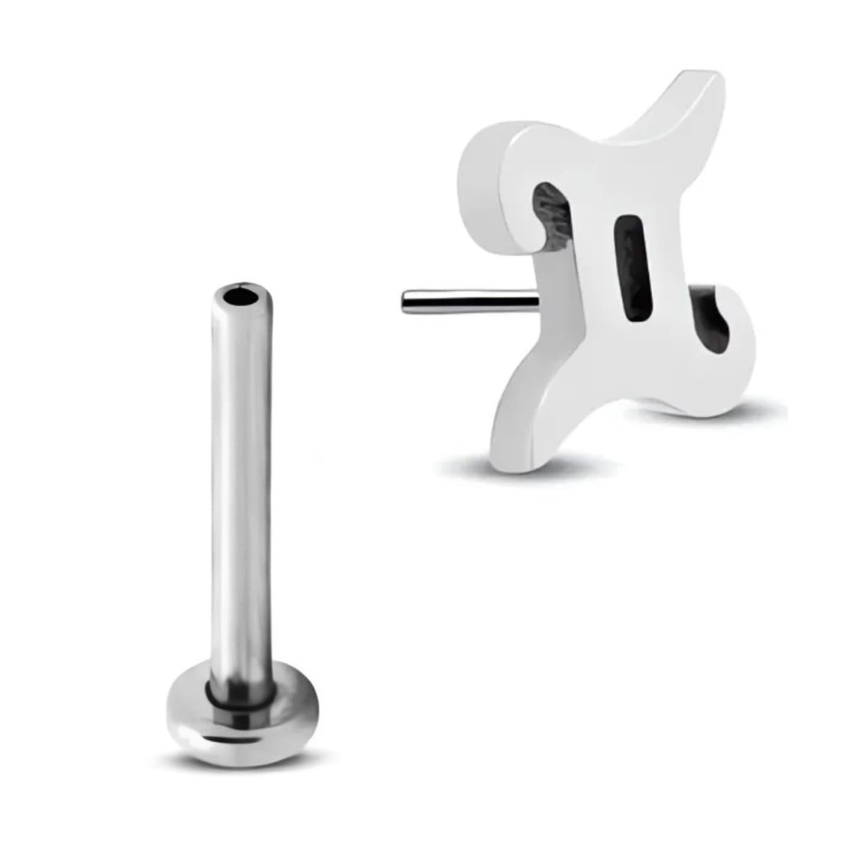 NewkeepsR16g-Titanium Threadless Zodiac 12 Constellation Astrology Jewelry Stud Earring