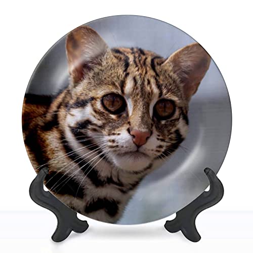 Ceramic Hanging Decorative Plate Close Up of a Beautiful Asian Leopard Cat Wall Plate Ceramic Ornament for Home & Office, Dining, Parties, Wedding 10