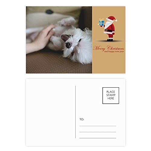Cartes postales chien et Père Noël (lot de 20) pour vœux de fin d'année