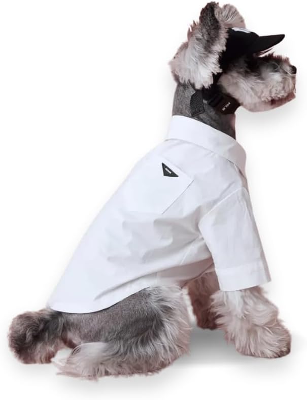 Luxury Pet Dress Shirt – White Designer Button-Up Outfit, Custumes, Formal Dog Shirt for Wedding, Birthday Party, Photoshoot, Puppy & Kitten Fashion Apparel (Medium 5.6–8.8 lbs)