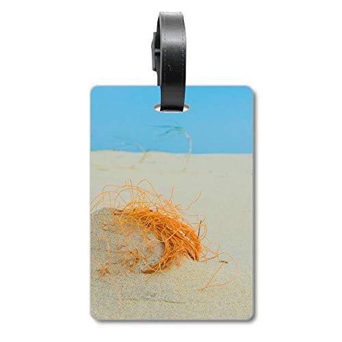 Étiquette d'identification voyage Ocean Sand Beach pour les vacances