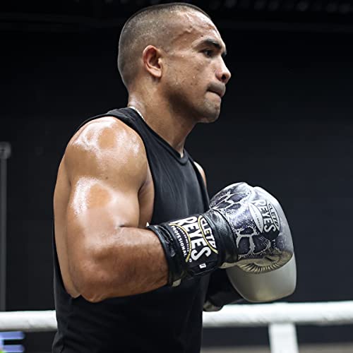 Cleto Reyes Professional Boxing Gloves For Training, Sparring And Heavy Punching Bags For Men And Women, Mma, Kickboxing, Muay Thai, Hook And Loop Closure, 16 Oz, Silver Black Steel Snake #TOP5