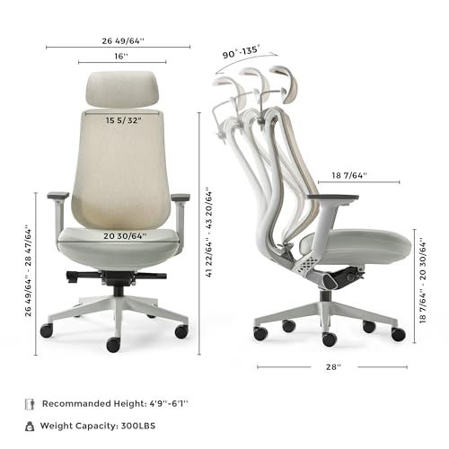 Image of EUREKA ERGONOMIC Lira Office Chair with Headrest, Ergonomic Desk Chair with 3D Armrests, Adjustable Seat Depth, Breathable Mesh Computer Chair with Lumbar Support for Home Office(Grey)