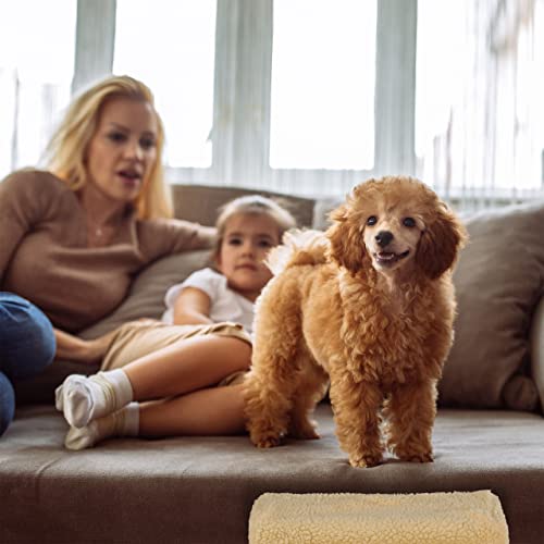 Relaxdays Hundetreppe 3 Stufen, kleine & große Hunde, Bett & Couch, Stoffbezug, Tiertreppe innen, HBT 30x35x45 cm, beige