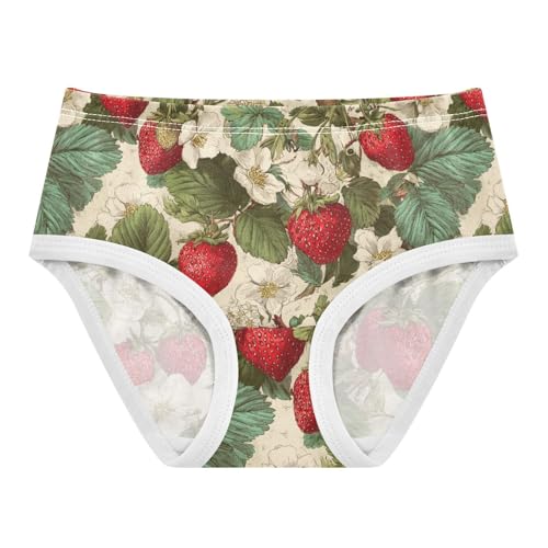 Wusikd Strawberry Leaves Girls' Underwear Cotton Girls Briefs Soft Toddler Underwear 2T