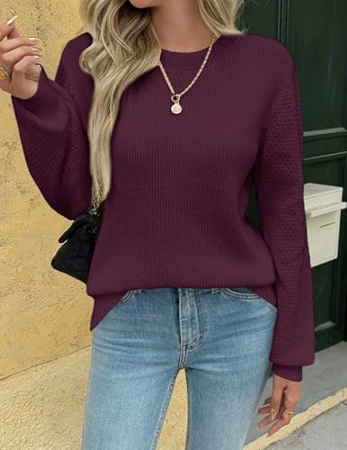 Zeagoo Womens 2025 Fall Sweaters Lightweight Long Sleeve Ribbed Knit Crewneck Pullover Tops Crochet Casual Outfits S-XXL2