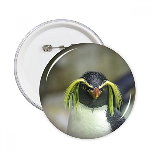 Manchot Antarctique pins ronde badge vêtement décoration cadeau science 5pcs