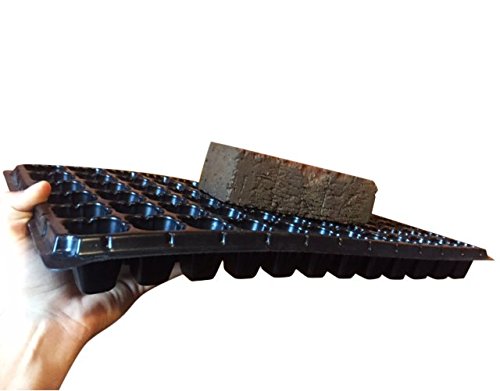 Bootstrap Farmer 200 Cell w/ 1020 Flat Seedling Starter Trays Extra Strength 5 Pack Combo - Seed Planting Insert Plug Tray, Soil & Hydroponics Plant Growing Plugs - Image 2