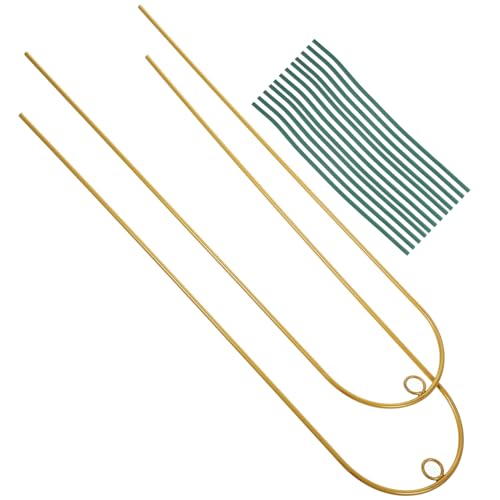 TOYANDONA Marco de Escalada para Plantas Enrejado Metal Soporte Exterior Interior Jardín Trepadoras Decoración Macetas Estilo Aleatorio