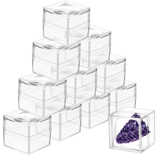 DoubleFill 10 Pack Rock Display Case Clear Rock Collection Boxes Storage 2.5 x Magnifying Specimen Boxes Bug Viewer Box for Mineral Stone Storage Gemstone Fossil Crystal Coins Collectibles