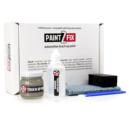 P3W Mushroom Touch Up Paint Kit for Hyundai 2.53 fl oz