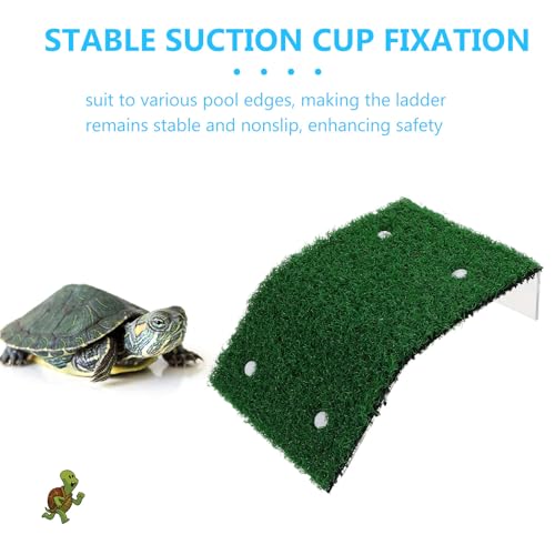 Rampe d'évacuation pour animaux de piscine pour chat grenouille et petit