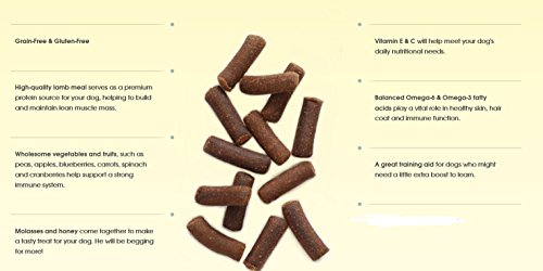 Earthborn Holistic Earthbites Lamb Meal Recipe Grain-Free Moist Treats For Dogs #TOP7