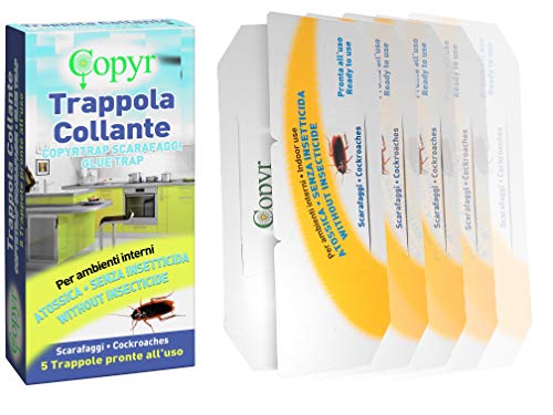 Copyr Klebefalle für Kakerlaken, 5 Stück