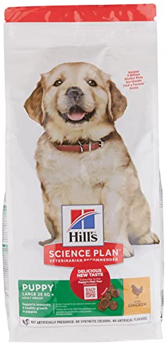 Science Plan Canine Puppy Large Breed mangime