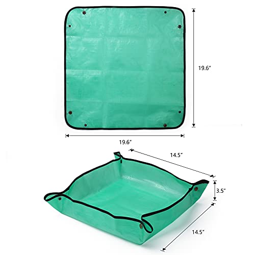 RESTCLOUD Butterfly Habitat with Poo Poo Platter, Butterfly Cage with