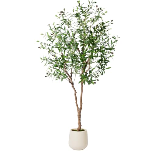 NOVAROOT 6FT Faux Olive Tree with Decorative Planter, Olive Trees Artificial Indoor with Textured Trunk, Silk Leaves and Olive Fruits, Fake Plants for Living Room, Entryway and Office Decor