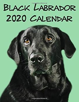 Paperback Black Labradors 7 x 7 Mini Wall Calendar 2020: 16 Month Calendar Book