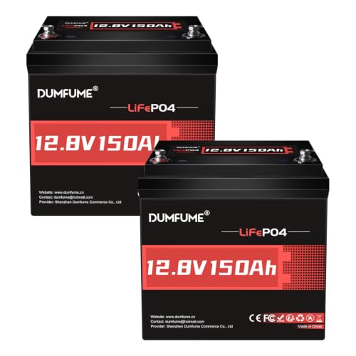 Lot de 2 Dumfume Batterie Lithium LiFePO4 12V 150Ah avec BMS 100A