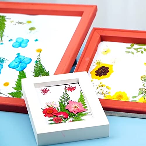 Eterspr 51 Pezzi di Fiori Pressati Colorati