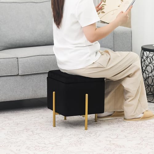 Adeco Upholstered Tufted Square Storage Ottomans, Black Modern Velvet Footrest Ottomans with Storage for Couch