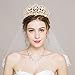 Exacoo Rose Gold Tiara for Women Queen Crown Rhinestone Headband Crystal Bride Crowns and Tiaras Hair Accessories for Prom Party Pageant Princess Wedding