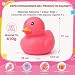 Juguetes antiestrés de pato gigante Imagen de Juguetes antiestrés de pato gigante