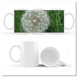 Kaffee Tee Tasse mit Foto Pusteblume Blumen Nr. H2884M_Cup