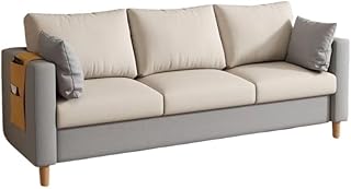Living Room Sofa Modern Simple Fabric Sofa Living Room Small Apartment Living Room Bedroom Rental House Apartment Clothing Store Small Sofa Small Couch for Bedroom(1,189cm)