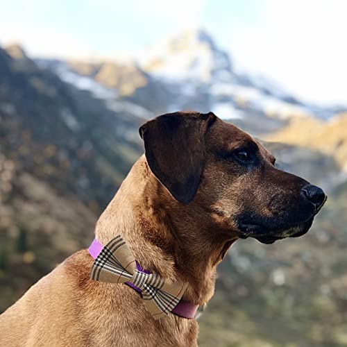 Dorui Dog Bow Tie / 50 Pcs Adjustable Elastic Rubber Band Double Layer Bow Ties For Small Medium Large Dogs & Big Cats Pet Collar Charms Accessories Bowties For Birthday Wedding Parties(50 Pcs) #TOP2