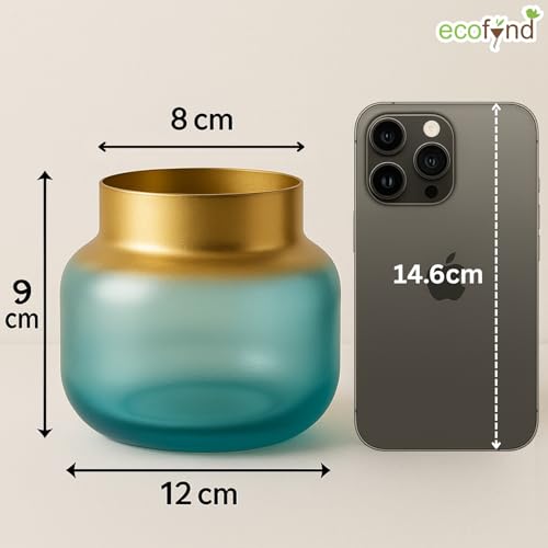 Image of ecofynd Glass Vase for Flowers Plants, Modern Decorative Vase for Home Decor Center Table, Bedroom, Living Room, Office Decoration, Wedding or Gifts, Luster Glass Vase, (GVASE010)