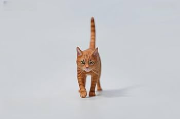 Amazon.com: WLNTDOLA 1:6 Scale Felis Catus Figure Realistic