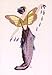 Lavender Spring Garden Pixie