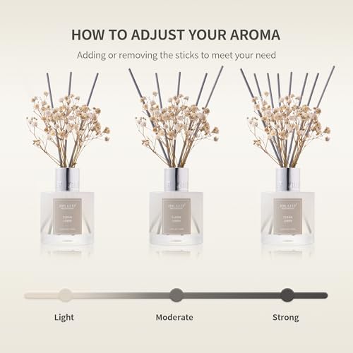 Airkeep Reed Diffuser Set,3.38 fl oz (100 ml) - Ocean Mist&Sea Salt Oil Diffusers with 8 Reed Sticks,Home Fragrance Reed Diffuser for Bathroom Shelf Decor - Image 2
