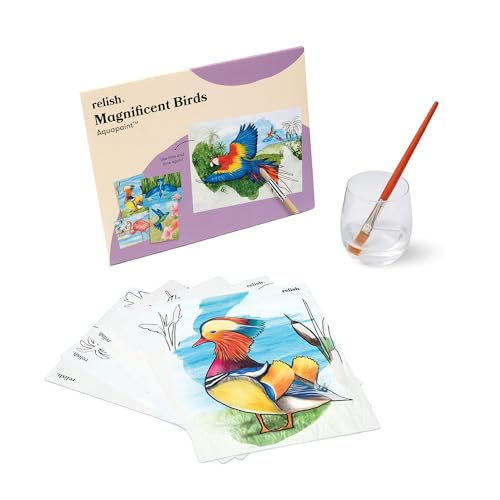 Relish - Dementia Aquapaints Activities - Confezione Da 5 Giocattoli Riutilizzabili Per Pittura Ad Acqua, Magnifici Uccelli, Prodotti Per L'Alzheimer 