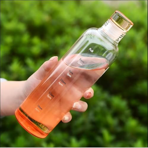 Image of Glass Water Bottle with Time Marker - 500ml Leakproof Reusable Bottle - BPA-Free Transparent Bottle with Colored Lids - Drinking Fridge Bottles Water, Milk, Lassi, Juices, Beverages (orange)