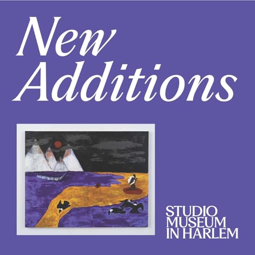 New Additions: Cassi Namoda