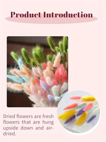 Pampas Grass Decor Tall 60Pcs Flores Secas Decorativas miniatura 4