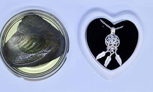 Love Wish Pearl Kit Chain Necklace Kit Pendant Cultured Pearl in Kit Set with Stainless Steel Chain 16'