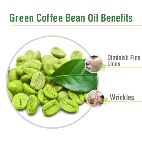 Image of B-Urban Green Coffee Bean Oil 30 ml (1.01 fl oz) - Lightweight Botanical Oil for Skincare, Serums & DIY Formulations